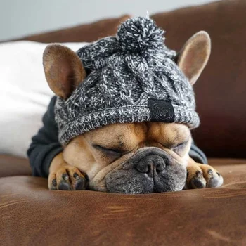 Зимна мода капачка за кучета, ветрозащитная космати вязаная шапка с полярния помпоном.