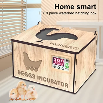 Инкубатор за яйца от инкубатор, на 9 яйца, машина за развъждане на домашни птици, с автоматичен контрол на температурата, Инкубатори-брудеры за птичи яйца