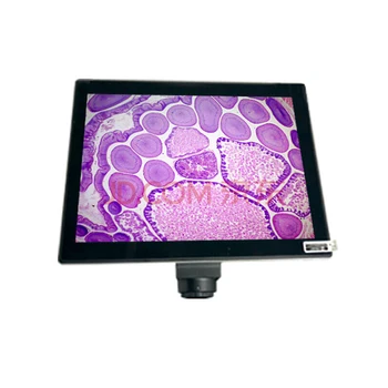 LCD Екран Микроскоп Phenix 9,7-инчов Сензорен панел, Вградена Камера Микроскоп 5.0 MP