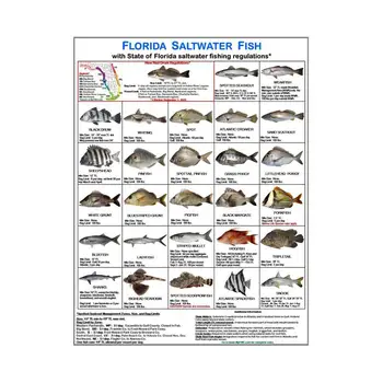 Документ за самоличност на рибаря, Цветни снимки на Водни правила Флорида, Документ за самоличност на рибаря