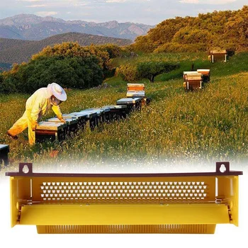 Пластмасов Пыльцеуловительница Инструменти за пчеларството Тава за събиране на Прашец, за да проверите за Пчелар Инструменти за пчеларството