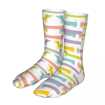 Модни чорапи-Мъжки, дамски ежедневни чорапи-модел куче дакел, графични чорапи Пролет Лято Есен Зима